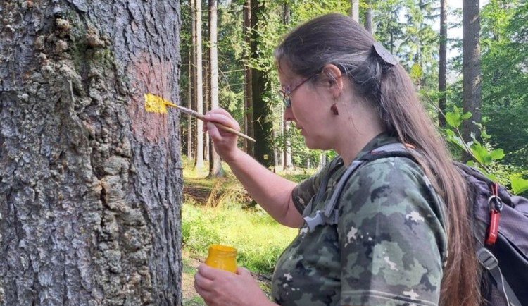 Značkaři obnovují turistické značení v Liberci. Město jim přispívá