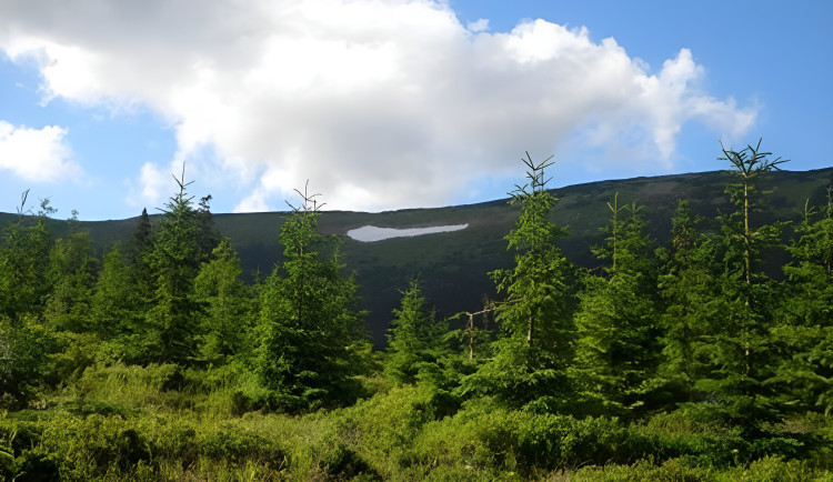Sněhové pole Mapa republiky v Krkonoších má letos nejméně sněhu za 25 let