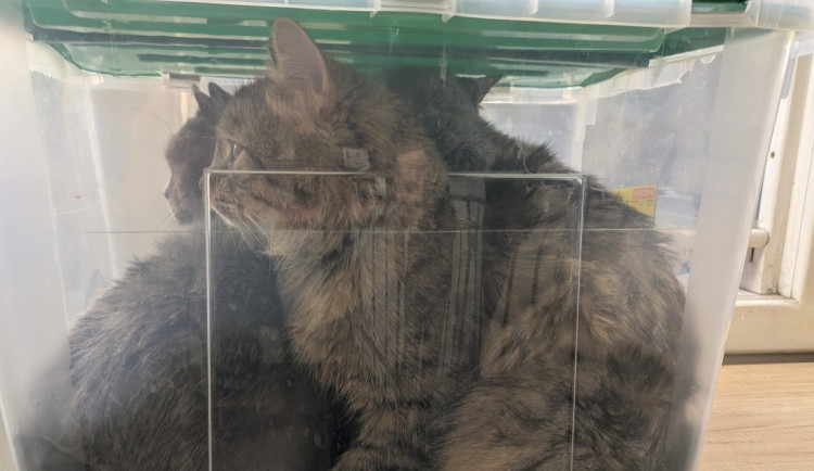 649449021_860467370368962_843691589847140567_n