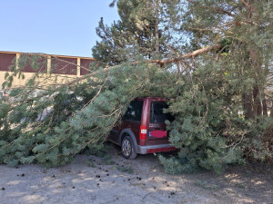 Silný vítr v Olomouckém kraji lámal stromy. Hasiči měli od rána už téměř padesát výjezdů