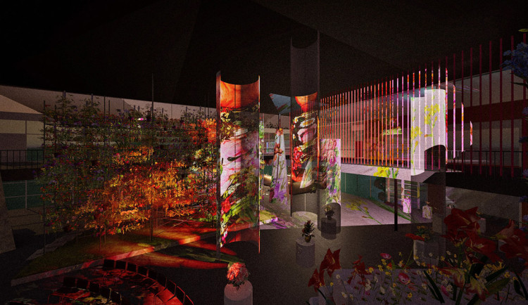 Vizualizace jarní Flory Olomouc