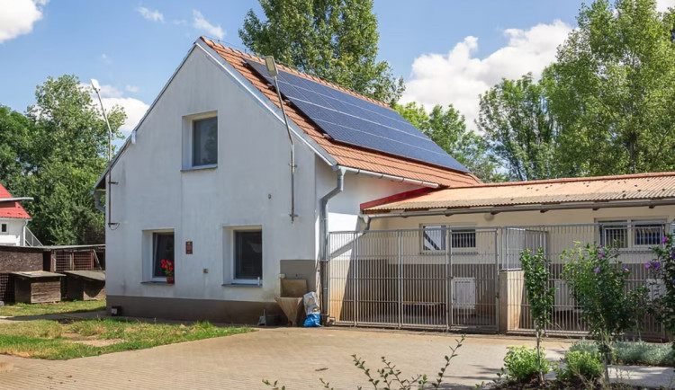 Útulek v Olomouci-Neředíně