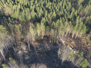 I malá nedbalost vede k živelné katastrofě, varují hasiči. Požárů v přírodě přibývá