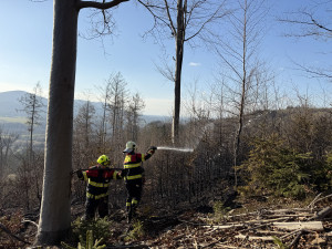 I malá nedbalost vede k živelné katastrofě, varují hasiči. Požárů v přírodě přibývá