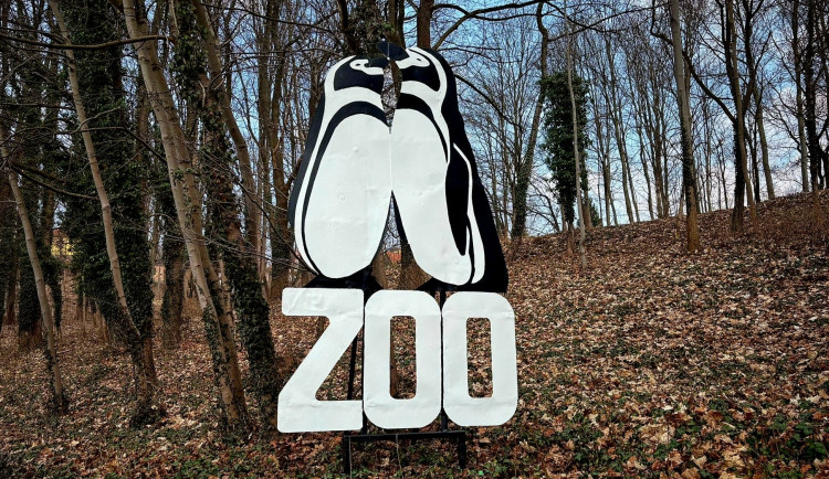Tučňáci od Teplárny jsou zpět. Ikonický poutač na Zoo Liberec září novotou