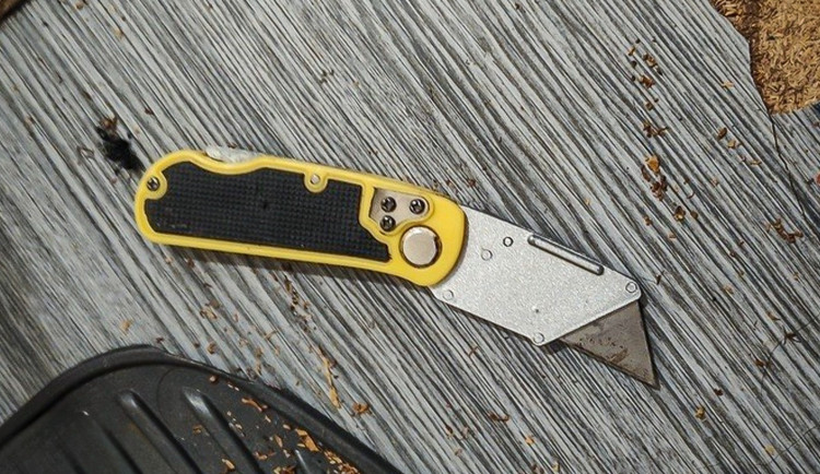 Žena se snažila podříznout si krk, když ji kvůli kočkám vystěhovávali z ubytovny