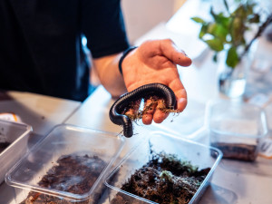 Odpudiví i kouzelní tvorové, kdo z nich přežije? Pevnost poznání nabízí unikátní víkend
