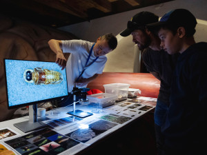 Odpudiví i kouzelní tvorové, kdo z nich přežije? Pevnost poznání nabízí unikátní víkend