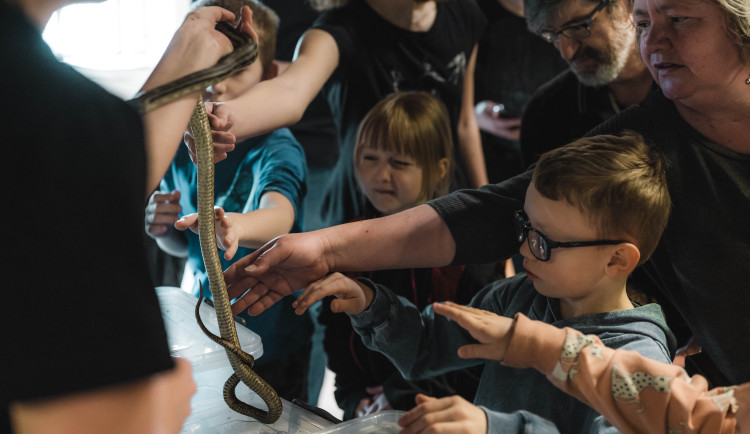 Odpudiví i kouzelní tvorové, kdo z nich přežije? Pevnost poznání nabízí unikátní víkend
