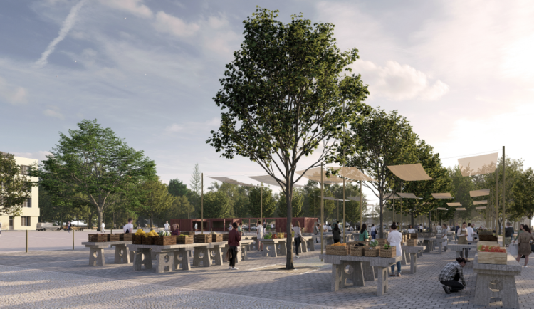 POLITICKÁ KORIDA: Jste pro přesun trhů na olomoucké tržnici na nové místo?