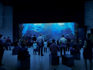 Na Svatém Kopečku začala stavba největšího mořského akvária v ČR. Přijde na 71 milionů