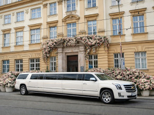 Univerzita Palackého se má podle aprílového příspěvku stát dějištěm show Bachelor