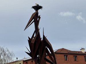 Čáp je zpět. Oblíbený opeřenec se v Hranicích už podruhé vrátil na stejnojmennou sochu