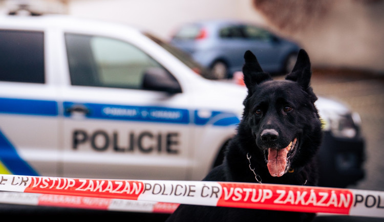 Potvrzeno: kosterní ostatky nalezené ve Višňové patřily pohřešovanému muži z Frýdlantska