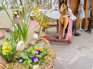 Zoo Olomouc přilákala o Velikonocích přes 15 tisíc lidí. Řeší se navýšení parkovacích kapacit
