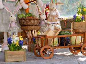 Zoo Olomouc přilákala o Velikonocích přes 15 tisíc lidí. Řeší se navýšení parkovacích kapacit