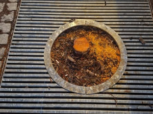 Kácení mladých stromů na náplavce vzbudilo bouři. Měly plíseň, vysadíme nové, tvrdí Olomouc