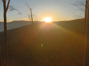 TIP NA VÝLET: Okolí Priessnitzových lázní nabízí prameny, čistý vzduch a krásné vyhlídky na Jeseníky