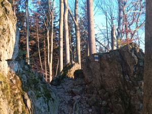 TIP NA VÝLET: Okolí Priessnitzových lázní nabízí prameny, čistý vzduch a krásné vyhlídky na Jeseníky