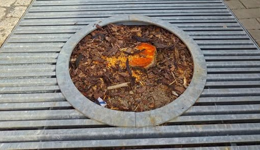 Kácení mladých stromů na náplavce vzbudilo bouři. Měly plíseň, vysadíme nové, tvrdí Olomouc