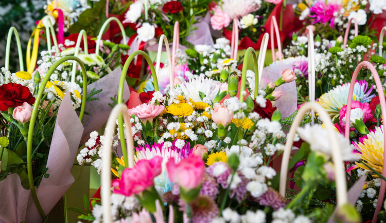 Karviná i letos oslaví Den Země, organizátoři lákají na bohatý program