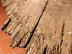 V Olomouci po 64 letech vystaví tajemný člun, našli ho v Moravě i se sekerou