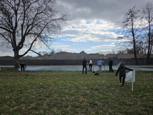 U Šternberka dobrovolníci zachránili stovky žab. Obojživelníci by jinak zemřeli pod koly aut