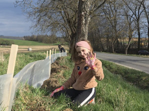 U Šternberka dobrovolníci zachránili stovky žab. Obojživelníci by jinak zemřeli pod koly aut