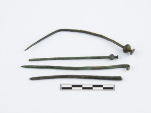 Bronzove-jelice-kultura-lidu-popelnicovych-poli.-Foto-ACO-Alena-Sindlerova-700x467