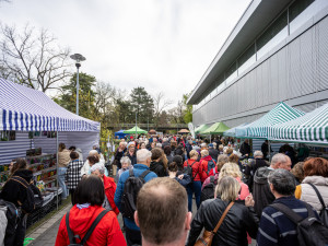 FOTO: V Olomouci se rozezněly Tóny Flory. Na výstaviště od rána proudily davy