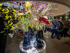 FOTO: V Olomouci se rozezněly Tóny Flory. Na výstaviště od rána proudily davy