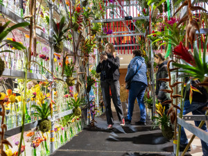 FOTO: V Olomouci se rozezněly Tóny Flory. Na výstaviště od rána proudily davy