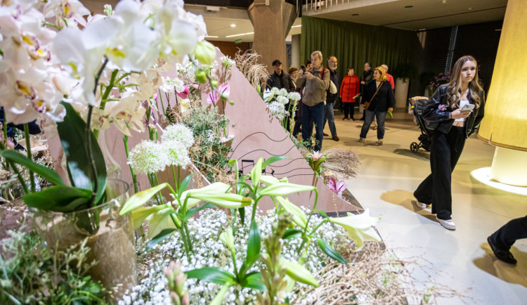 FOTO: V Olomouci se rozezněly Tóny Flory. Na výstaviště od rána proudily davy