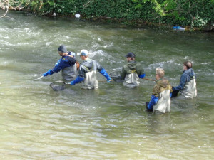 Průzkum vodního života u Šantovky: výsledky mohou promluvit do zvažovaných projektů