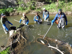 Průzkum vodního života u Šantovky: výsledky mohou promluvit do zvažovaných projektů