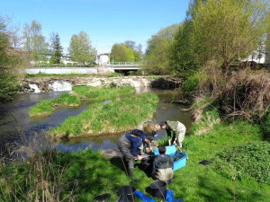 Průzkum vodního života u Šantovky: výsledky mohou promluvit do zvažovaných projektů