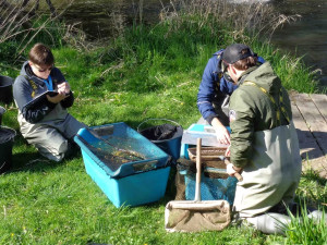 Průzkum vodního života u Šantovky: výsledky mohou promluvit do zvažovaných projektů