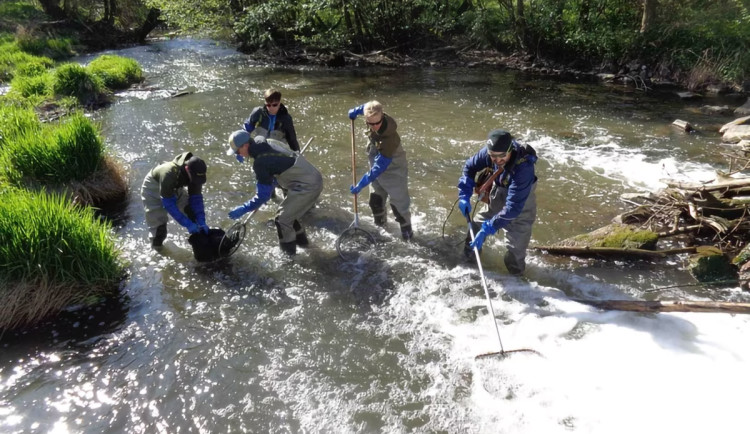 Průzkum vodního života v Mlýnském potoce u Šantovky v Olomouci