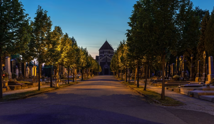 Snímek obrazovky 2026-04-28 102545