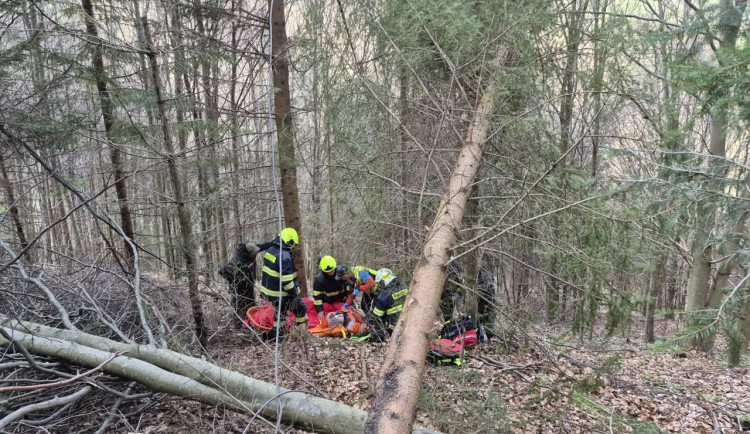 Dřevorubec spadl v Jeseníkách při těžbě dřeva ze stromu. Letěl pro něho vrtulník