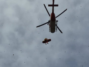 Dřevorubec spadl v Jeseníkách při těžbě dřeva ze stromu. Letěl pro něho vrtulník