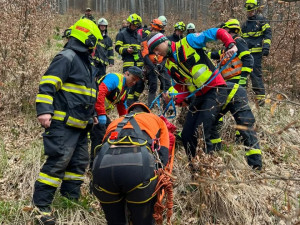 Dřevorubec spadl v Jeseníkách při těžbě dřeva ze stromu. Letěl pro něho vrtulník