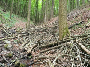 TIP NA VÝLET: Zbytky hradu Hoštejna, malebná krajina a údolí, ale i nezvyklá Cimrmanova otužovna