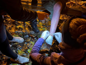 Pomoc lidem na okraji společnosti: i v Olomouci působí Medici na ulici