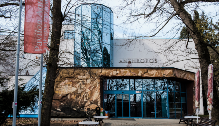 Zemské muzeum vystavilo nálezy z posledních let, včetně rytiny mamuta a koně