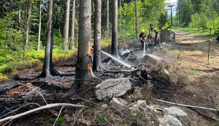Požár na Tanvaldském Špičáku způsobila cigareta vyhozená z lanovky, říkají provozovatelé Bikeparku