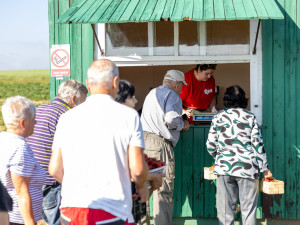FOTOGALERIE: Dvě stě kilometrů pro jahody. U Olomouce začal populární samosběr