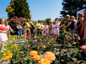 Festival Vyznání růžím v Olomouci