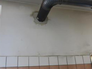Švábi pod dřezem i za lednicí. Inspekce zavřela restauraci v Litovli