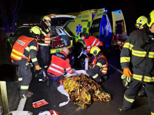 Při děsivém střetu na Olomoucku přišla o život 15letá dívka. Řidiči BMW hrozí 8 let vězení